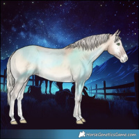 Horse Color:Cremello Onyx Varnish 