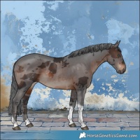 Horse Color:Brown Merle Tobiano