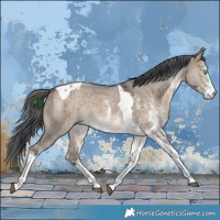 Horse Color:White Spotted Brown Dun Merle Tobiano 
