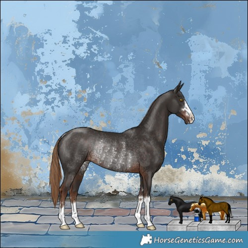 Horse Color:Liver Chestnut Rabicano