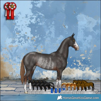 Horse Color:Liver Chestnut Rabicano 