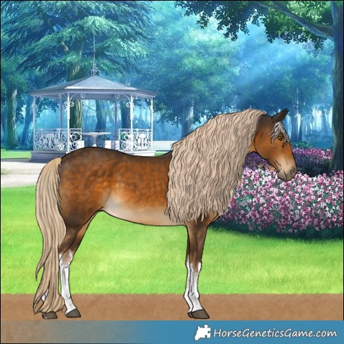 Horse Color:White Spotted Chocolate Palomino 