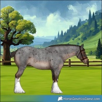 Horse Color:White Spotted Liver Red Roan