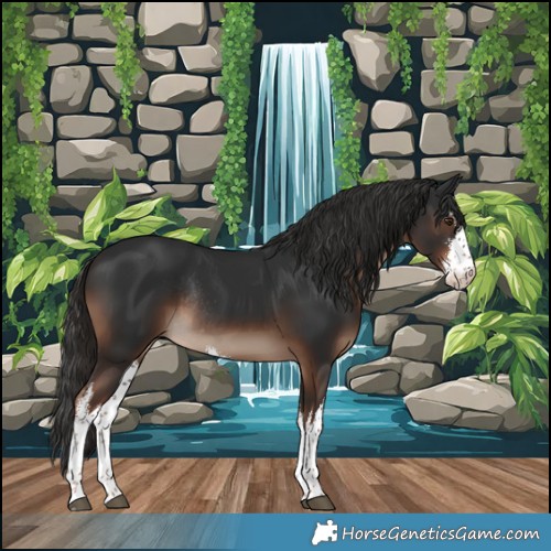 Horse Color:White Spotted Liver Chestnut Rabicano 