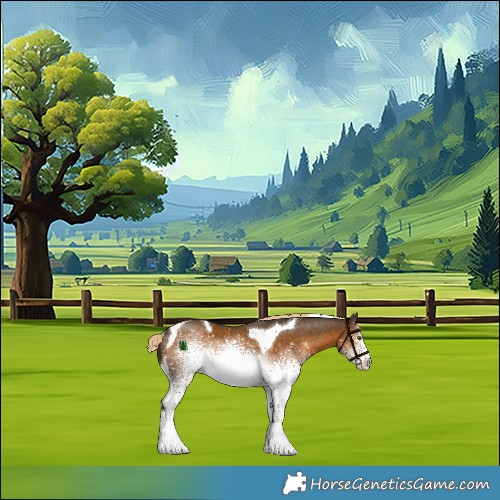 Horse Color:White Spotted Chocolate Palomino Tobiano Rabicano