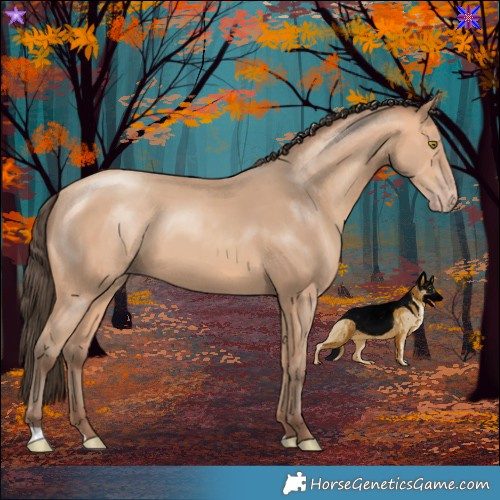 Horse Color:Amber Champagne