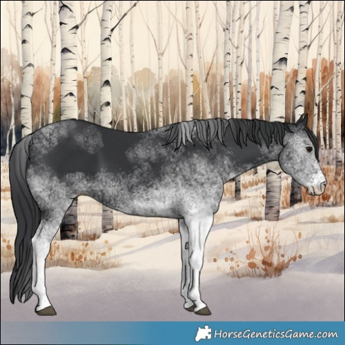 Horse Color:White Spotted Black 
