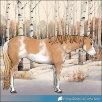 Horse Color:White Spotted Chestnut Frame 