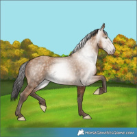 Horse Color:Gray Amber Champagne 