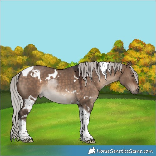 Horse Color:White Spotted Silver Brown Dun Tobiano 