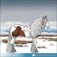 Horse Color:Silver Brown Splash Tobiano