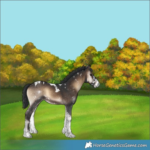 Horse Color:White Spotted Brown Onyx Tobiano 