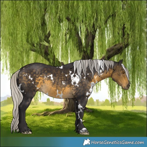 Horse Color:White Spotted Silver Buckskin Rabicano 