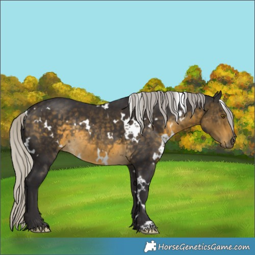 Horse Color:White Spotted Silver Buckskin Rabicano 