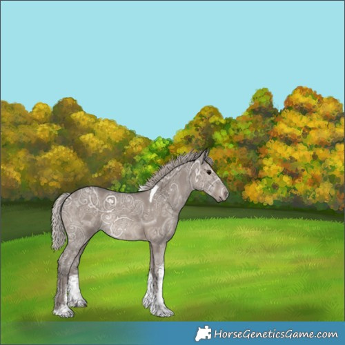 Horse Color:White Spotted Silver Grullo Ice Tobiano Rabicano 