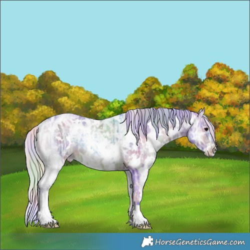 Horse Color:Nacre Watercolor White Spotted Silver Brown Ice Onyx Rabicano 
