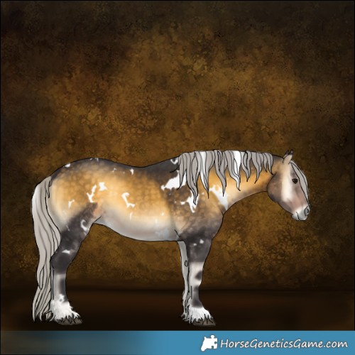 Horse Color:White Spotted Silver Buckskin Onyx 