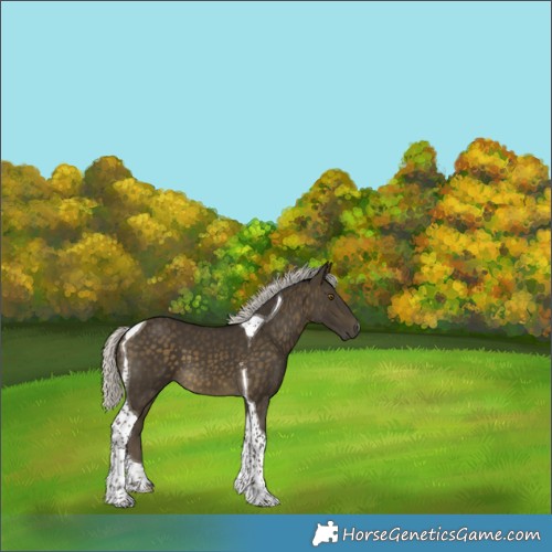 Horse Color:Silver Buckskin Tobiano 