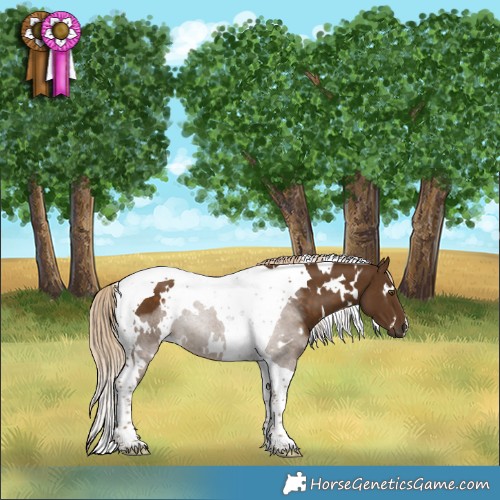 Horse Color:White Spotted Chocolate Palomino Tobiano 