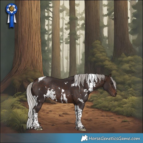 Horse Color:White Spotted Silver Brown Tobiano Rabicano 