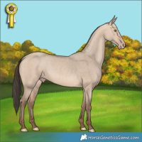 Horse Color:Amber Champagne Dun 