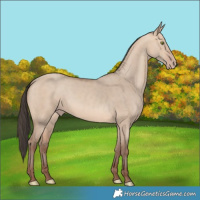 Horse Color:Amber Champagne Dun 