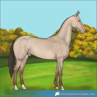 Horse Color:Amber Champagne Dun 