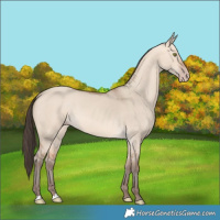 Horse Color:Amber Champagne Dun 