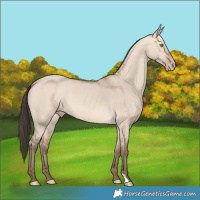 Horse Color:Amber Champagne Dun 