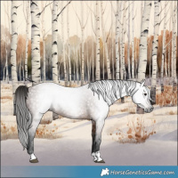 Horse Color:Gray Bay