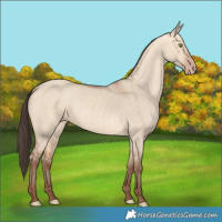 Horse Color:Amber Champagne Dun 