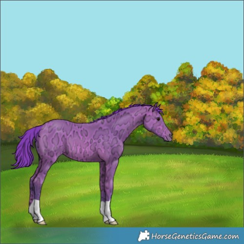 Horse Color:Watercolor Bay Ice 