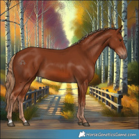 Horse Color:Chestnut 