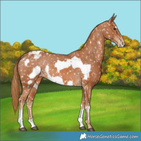 Horse Color:Chestnut Snowflake Varnish and Chestnut Frame Snowflake Varnish