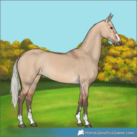 Horse Color:Silver Bay Dun