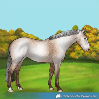 Horse Color:Gray Amber Champagne 
