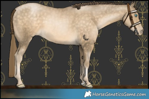 Horse Color:Buckskin Pearl 