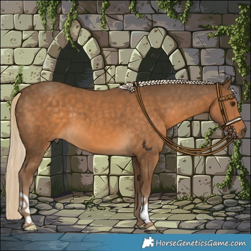 Horse Color:Chocolate Palomino 