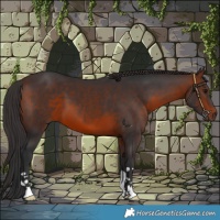 Horse Color:Brown 