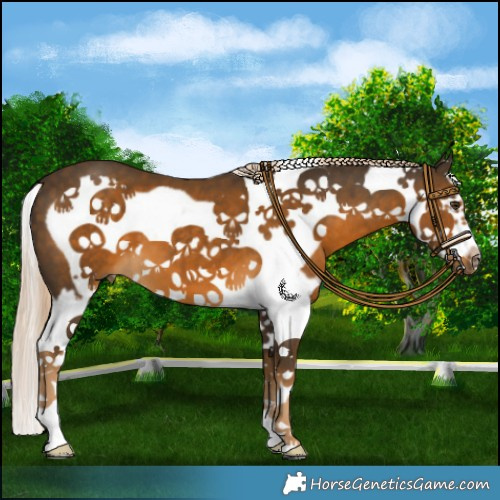 Horse Color:Chocolate Palomino Splash Frame 