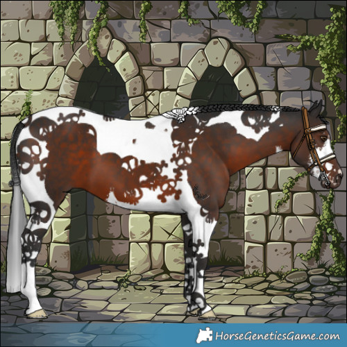 Horse Color:White Spotted Liver Chestnut Tobiano 