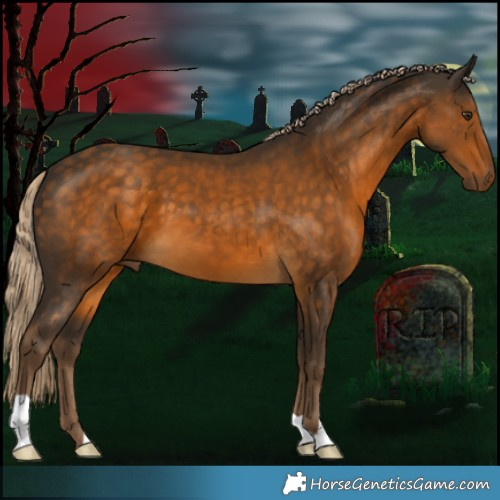 Horse Color:Chocolate Palomino 