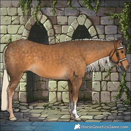 Horse Color:Chocolate Palomino 