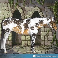 Horse Color:White Spotted Buckskin Sabino