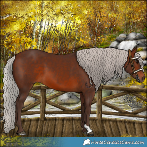 Horse Color:Silver Brown 