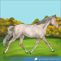 Horse Color:Silver Blue Roan Pearl Tobiano Frame 