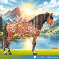 Horse Color:Bay Snowflake Varnish  and Bay Snowflake Varnish Rabicano 