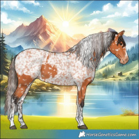 Horse Color:Bay Snowflake Varnish  and Bay Snowflake Varnish Rabicano 