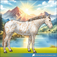 Horse Color:Red Dun Blanket and Red Dun Blanket Rabicano