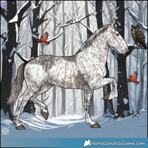 Horse Color:Brown Dun Skewed Appaloosa  and Smoky Grullo Skewed Appaloosa 